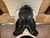 Used 17.5" CWD SE05 Monoflap Dressage Saddle W