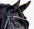 Lumiere Paloma Browband
