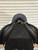 Used 18" Wintec 2000 All Purpose Saddle M (ADJ)