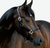 Lumiere Vegas Glitter Leather Halter