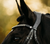 Lumiere Adeline Leather Cavesson Bridle