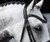 Lumiere Arcadia Luxury Leather Bridle (Hanoverian)