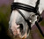 Lumiere Arcadia Luxury Leather Bridle (Hanoverian)