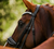 Lumiere Diva Bridle (Cavesson)