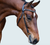 Lumiere Sienna Nosebandless Bridle