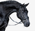 Lumiere Penny Snaffle Bridle