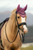 LeMieux® Classic Ear Bonnet