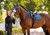 LeMieux® Essence Eurojump Square Saddle Pad