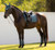 LeMieux® Essence Dressage Square Saddle Pad