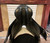 Used 19" Duett Fidelio Dressage Saddle W