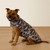 Ariat® Pup Puffer Jacket - Navy Coincide Print