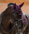 Equestrian Stockholm Modern Crystal Shine Ear Bonnet