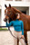 TKEQ The Chloe High Collar Technical Top