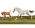 Breyer® Racing The Wind Set