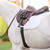 EquiFit® Essential® Schooling Girth with SmartFabric™ Liner