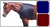 Sleazy Sleepwear for Horses™ Shoulder Guard - Large