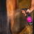 Canter Mane & Tail Conditioner Original Formula - 1 Liter Bottle