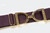 Ellany Fig - 1.5" Gold Stirrup Equestrian Elastic Belt