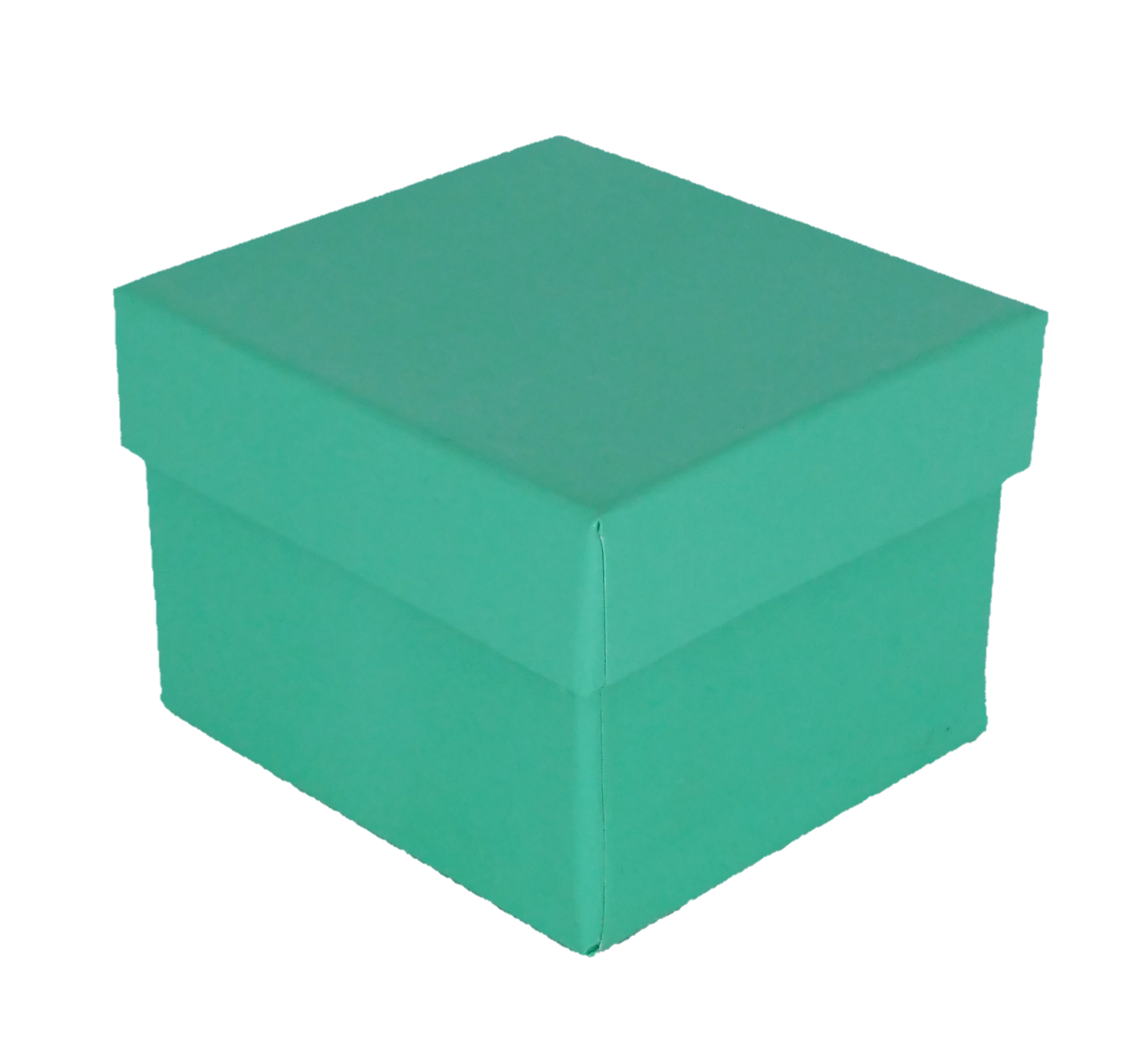 Robin's Egg Blue Ring Gift Jewelry Box 888 Display USA, Inc.