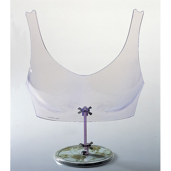 Clear Free Standing Bra form