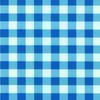 Gingham Plaid