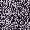 Snow Leopard