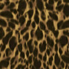 Tortoise Shell