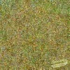 Gold Confetti