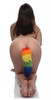 Rainbow Tail Anal Plug