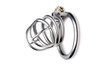 The Pen Deluxe Stainless Steel Locking Chastity Cage 