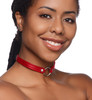 Fiery Pet Leather Choker with Silver Ring (AG761-Red)