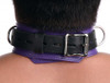 Strict Leather Deluxe Locking Collar