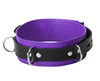 Strict Leather Deluxe Locking Collar - Purple and Black (SL212)