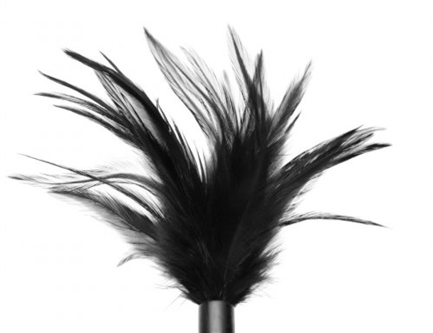 Le Plume Feather Tickler