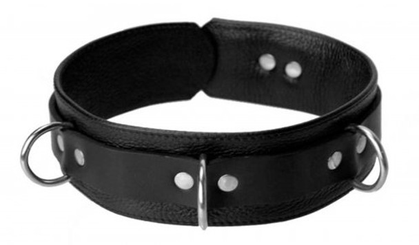 Sick Puppy Leash and Collar Kit