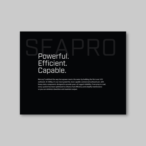 SeaPro V12 Brochure (25/box)