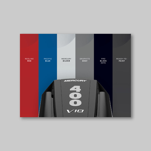 Color Accent Panel Program Sell Sheet  (25/box)