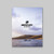 Pro XS 115-300HP Brochure (25/box)