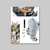 Verado 250-600HP Brochure (25/box)
