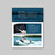 MerCruiser Bravo Four S Brochure (25/box)