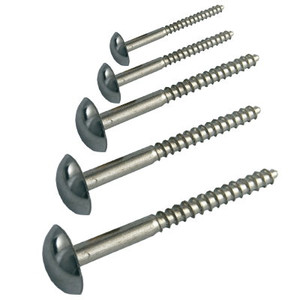 Mirror Screws Chrome 19mm X 50