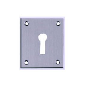 Esc Large Flat Chrome Pre Packed Esc Large Flat Chrome Pre Packed