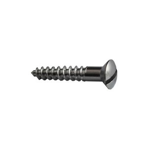 Screw Chrome Raised Sltd 6X1 X10 Pre Packed Screw Chrome Raised Sltd 6X1 X10 Pre Packed
