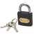Padlock T/Circle Iron 25mm