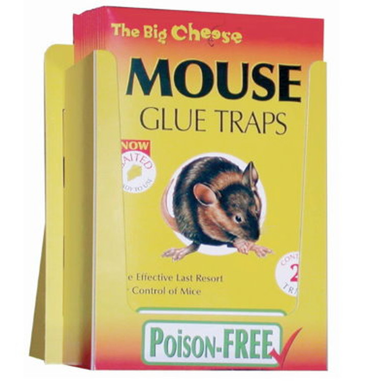 Mouse Glue Trap Stv182 2Pk