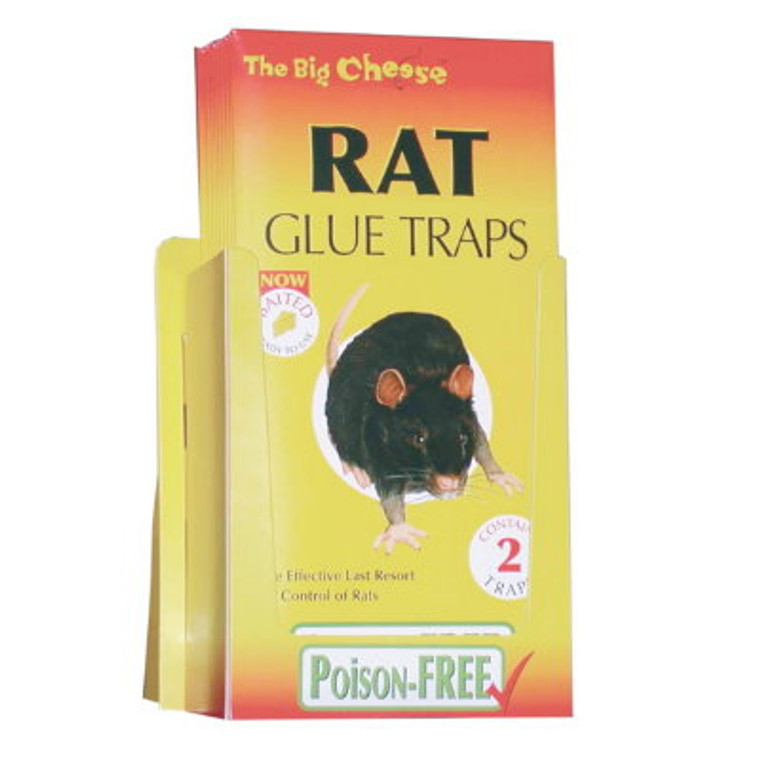 Rat Glue Trap Stv191 36Pk