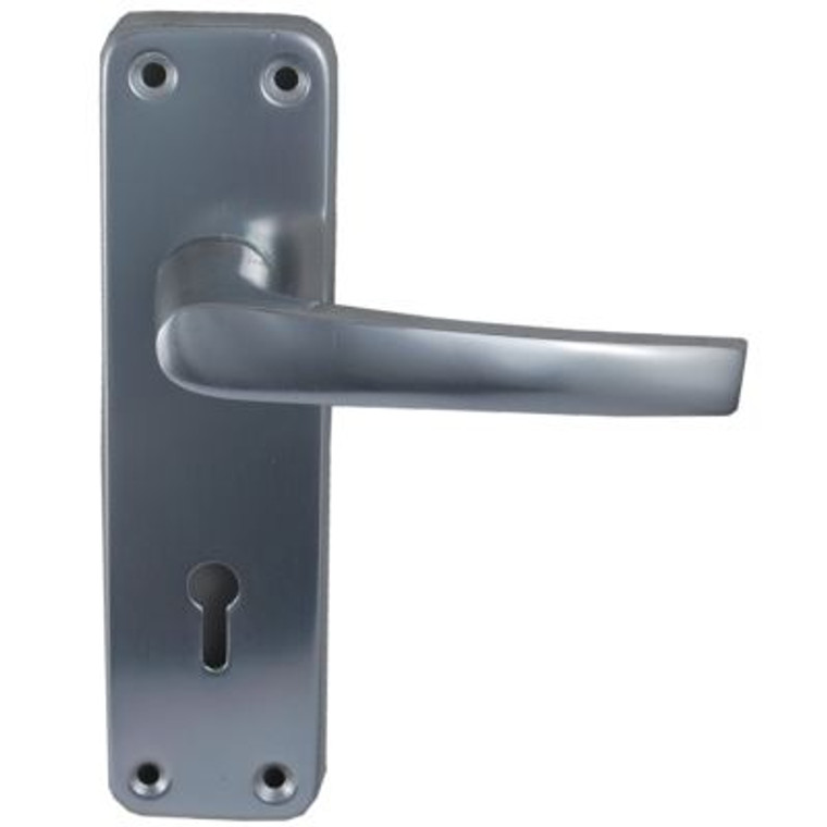 Ally Lock Handle Pre Packed