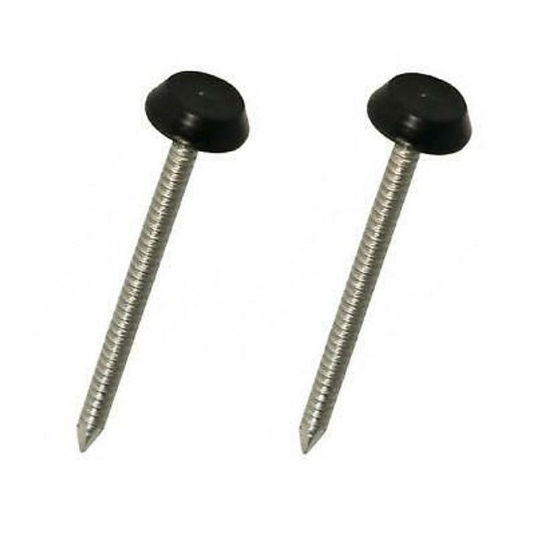 Poly Head Pins Ss Black 40mm X 250