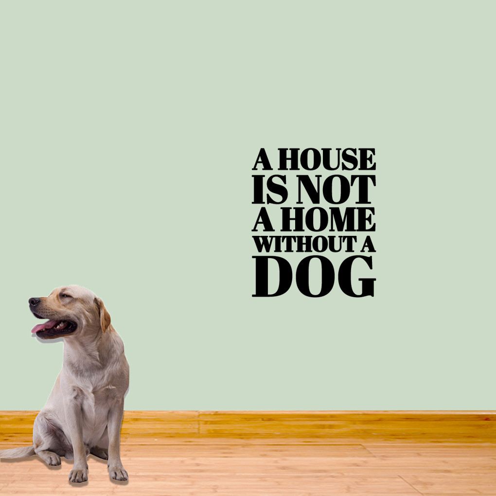 a home is not a home without a dog