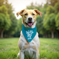 Lake Erie Love - Shores and Islands Ohio - Dog Triangle Bandana